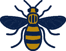 Manchester Bee